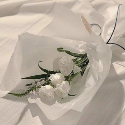 领主总动员测试版下载