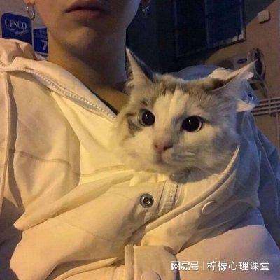 oppo西游女儿国手游下载