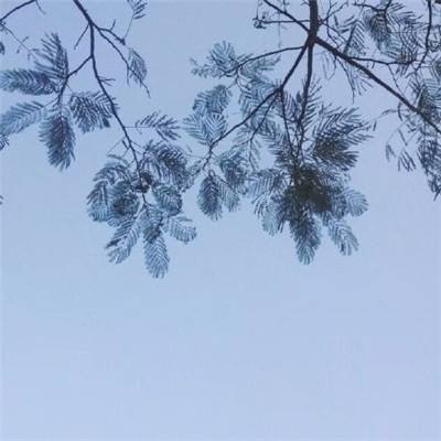 塔王格伦德尔游戏下载