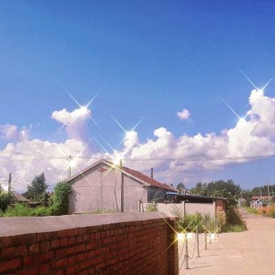 啪啪三国bt版下载